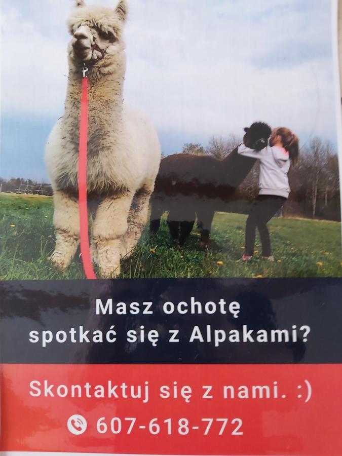 Apartamenty Smaczek Gołdap Buitenkant foto