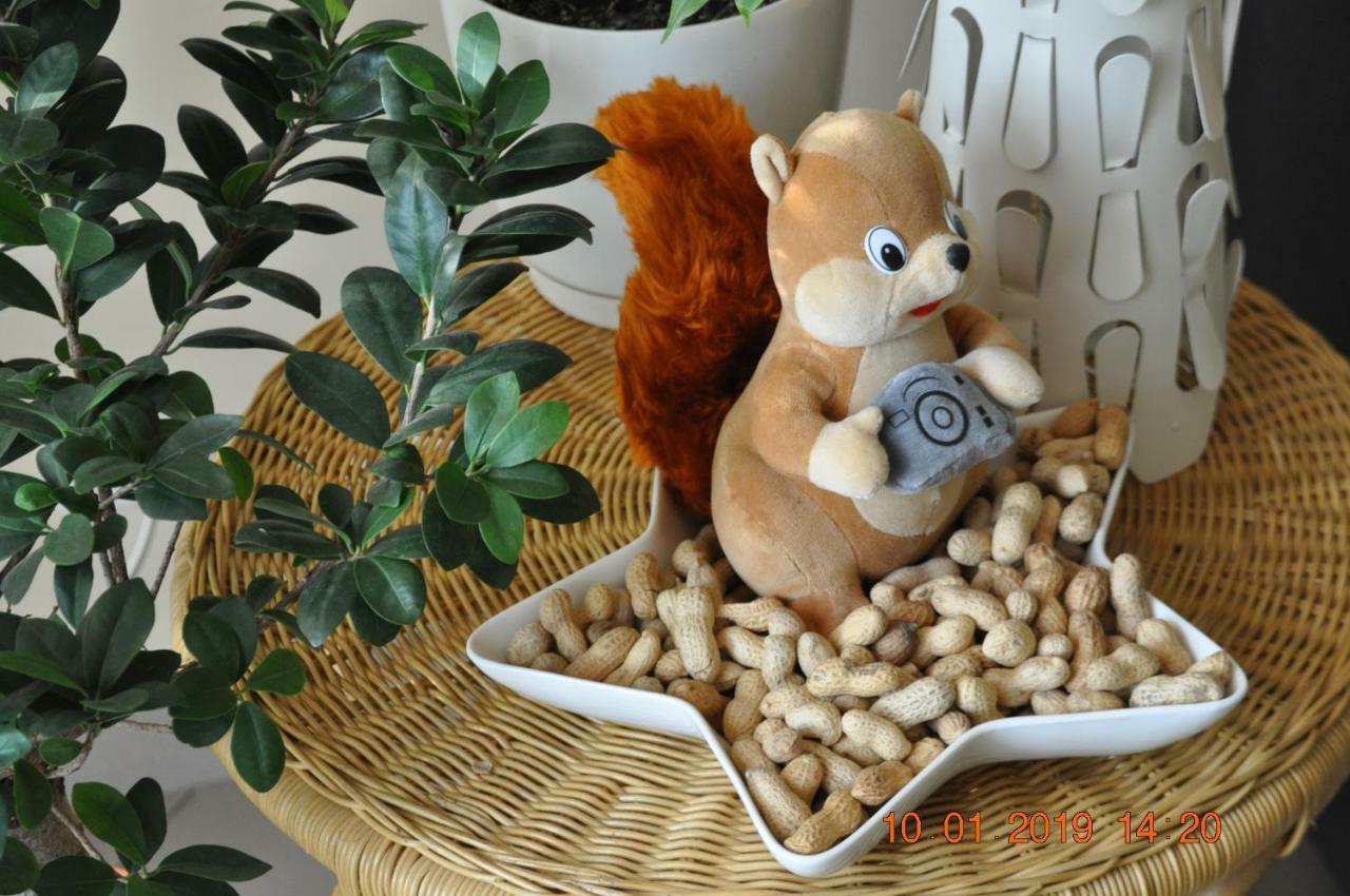 Apartamenty Smaczek Gołdap Buitenkant foto